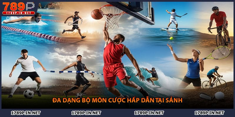 Đa dạng bộ môn cược hấp dẫn tại sảnh