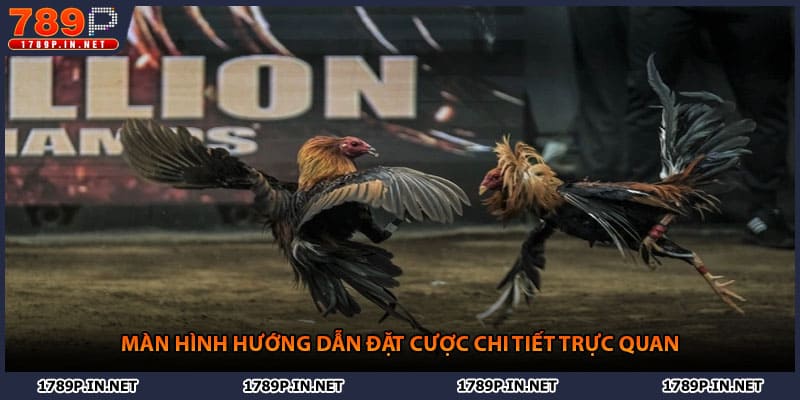 Màn hình hướng dẫn đặt cược chi tiết trực quan