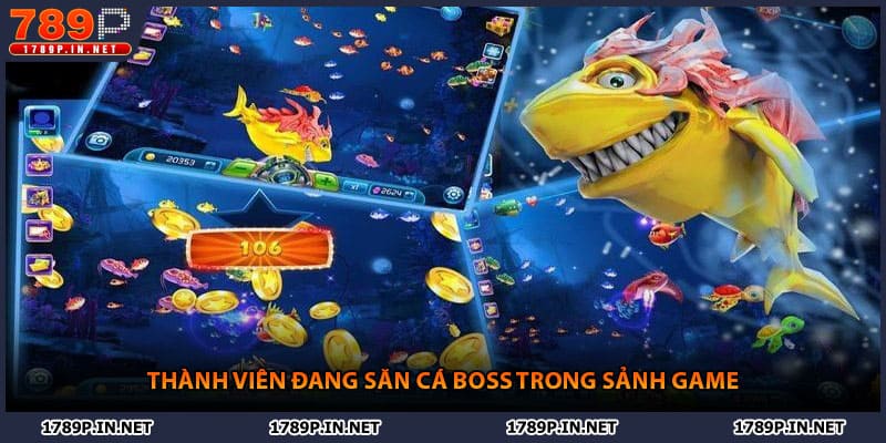 Thành viên đang săn cá boss trong sảnh game