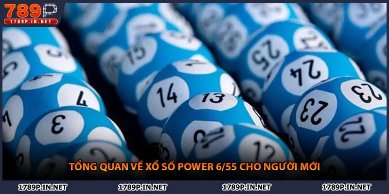 Tổng quan về xổ số power 6/55 cho người mới